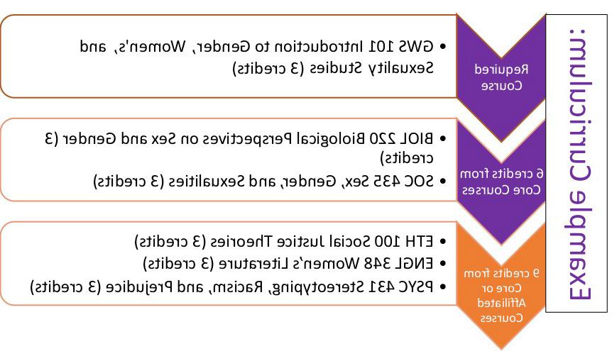 Gender and Women's Studies Requirements Graphic